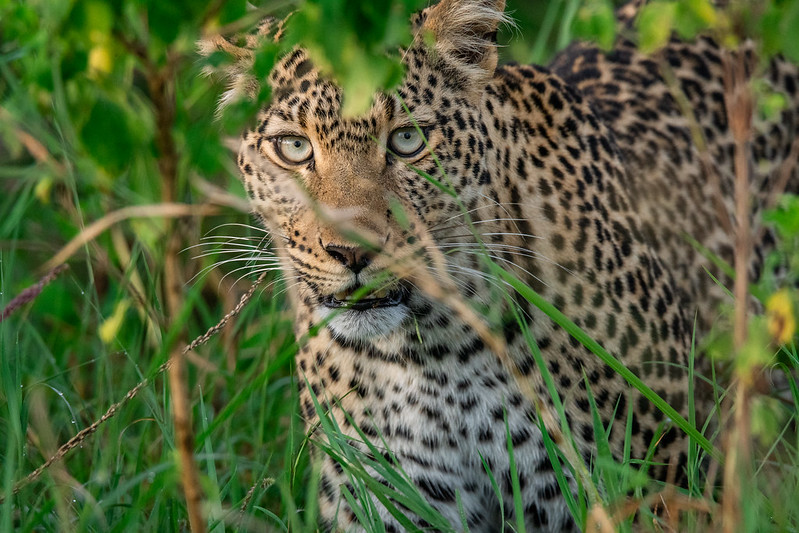 National Parks in Tanzania