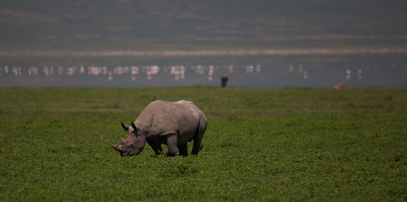 Ngorongoro Crater