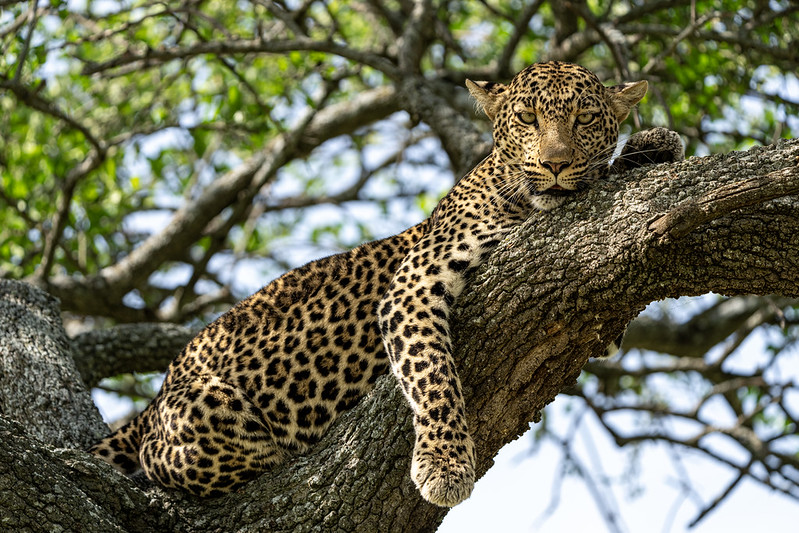 Serengeti National Park