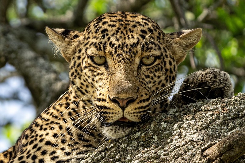 Serengeti National Park